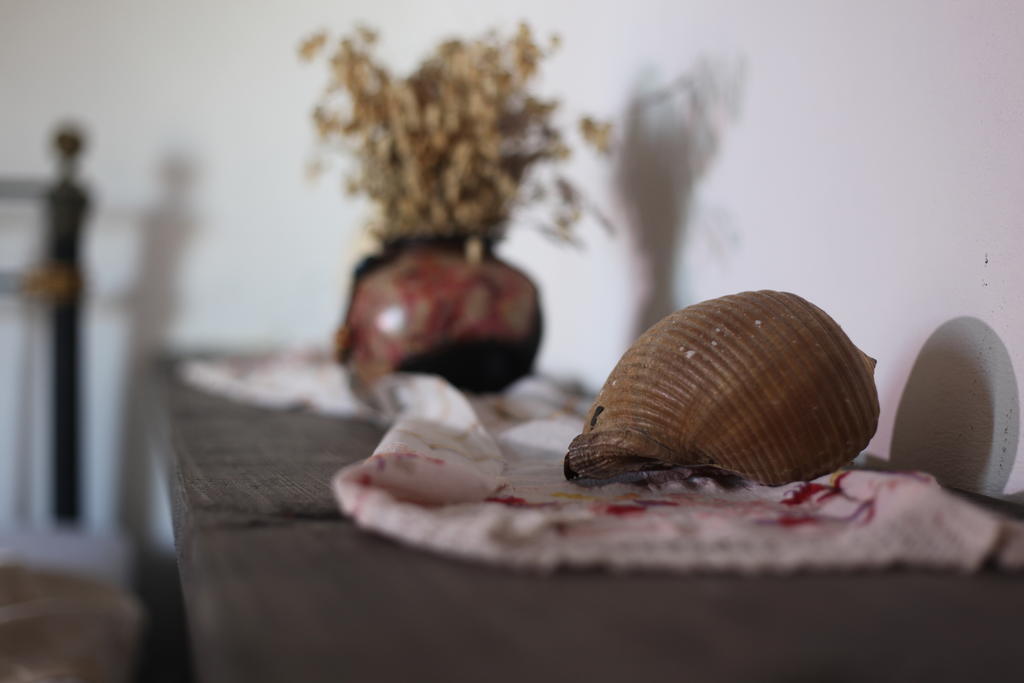 Mahzen Hotel Ayvalı Δωμάτιο φωτογραφία